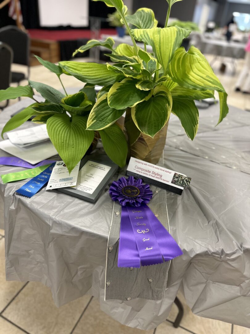 A table with a plant and ribbons on it