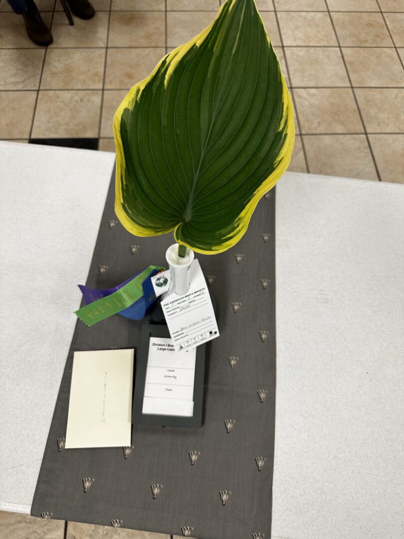 A table with a plant and a receipt