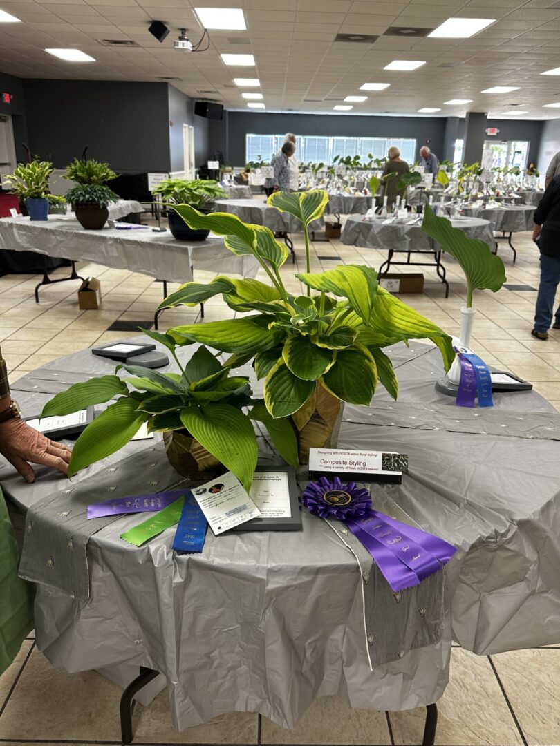 A table with plants on it in a room.